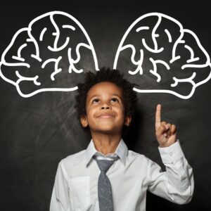 Barnets udvikling af hjernen og neuroaffektiv udviklng